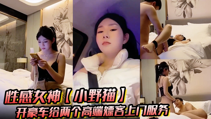 性感女神_小野猫_开豪车给两个高端嫖客上门服务猥琐大叔喜欢玩SM帅哥还算正常吹箫热身啪啪