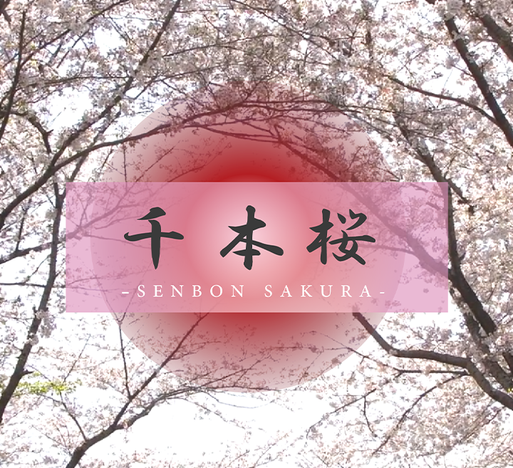 FC2-4325165 【キラキラに輝くのエロ街道】 バイトの先輩とエッチしちゃう刺激的な彼女。魅惑の大-cd2